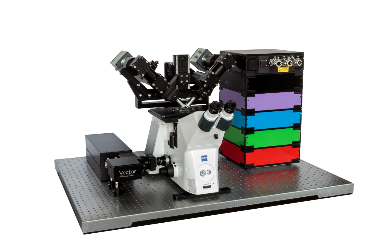 Lattice Light Sheet Microscopy Zeiss Shelly Lighting