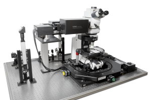VIVO_Multiphoton