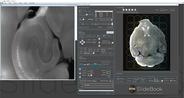 SlideBook 的鼠标海马体预扫描路线图的屏幕截图